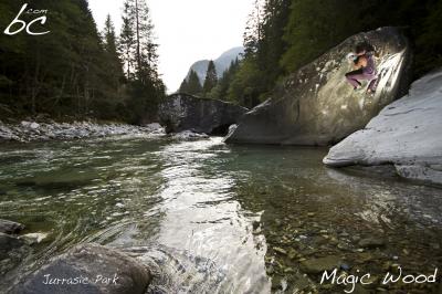 Josh in "Jurassic Park"